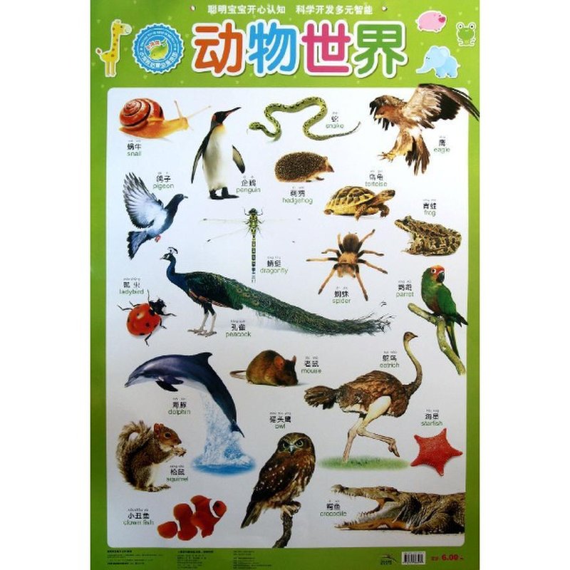 动物世界.小海豚启蒙必备挂图