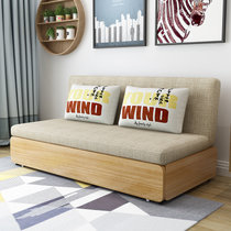 沙发床小户型网红款 坐卧两用多功能可折叠双人储物客厅简约现代(9公分高密度海棉 1.8米（无抽屉）)