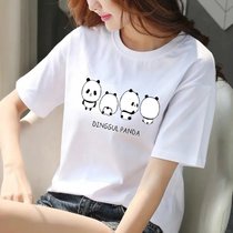 新款短袖T恤女夏装宽松大码女装圆领白色学生潮流(四只小熊猫 XXL码建议156-175斤)