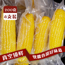 正道良田山西甜糯玉米4只装新鲜速食软糯香甜绿色真空玉米棒(4穗*200g)