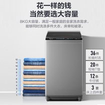 小天鹅TB80V23DB  8kg洗衣机全自动租房家用变频大容量波轮(灰色 8公斤)