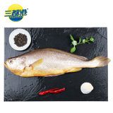 三都港三去宁德大黄花鱼450g/1条 国产海鲜水产 生鲜 鱼类 国美超市甄选