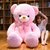 泰迪熊猫毛绒玩具公仔玩偶布娃娃抱抱熊女生大号女孩大型睡觉喜欢(肥版冰心领结熊-粉色 80厘米)