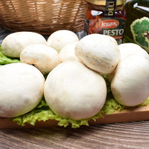 新鲜双孢菇口蘑白蘑菇食用菌煲汤烧烤绿色有机蔬菜蘑菇(1斤 精选装)