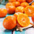 砂糖橘5-9斤新鲜水果广西砂糖橘小橘子 柑橘 桔子 生鲜(5斤装)