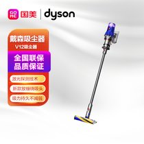戴森（Dyson）手持式吸尘器SV20 DYSON V12 DETECT SLIM FLUFFY
