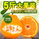 蒲江不知火丑柑2500g大果 产地直发 酸甜多汁 (5斤 不知火)(5斤 不知火)