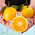誉福园湖北秭归夏橙“榨汁橙” 9斤中果（65-75mm） 现摘现发  富含维C