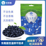 蓝莓干果80克自立袋(自定义 自定义)