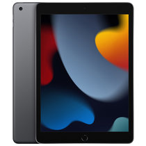 Apple iPad 10.2英寸平板电脑 2021年新款（256GB WLAN版/A13芯片/1200万像素/iPadOS MK2N3CH/A） 深空灰色