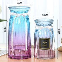【两件套】玻璃花瓶彩色透明水培富贵竹百合鲜花花瓶客厅插花摆件(24折纸蓝紫+18贴纸蓝紫 中等)