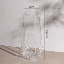 北欧简约创意玻璃花瓶透明水养插花瓶鲜花玫瑰百合花客厅摆件网红(透明中号【精致款】 中等)