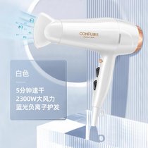 电吹风机家用大功率风力负离子发型师专用护发学生宿舍吹风筒7yb(金白色+负离子)