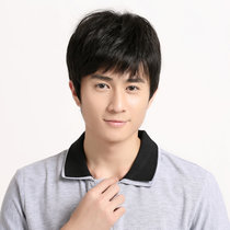 美元素假发 男 真发混发逼真自然假发男直发短发型仿真头发套 男士假发套lsz508(x4号深栗色)
