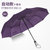 纯色10骨折叠全自动伞 抗风晴雨伞 商务礼品雨伞(浅紫色)