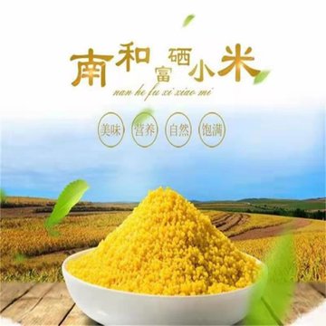 南和富硒小米真空梦之蓝五斤装