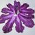 基地直发新鲜特色蔬菜紫色农产品 紫色大白菜5斤装2-3棵 包邮(自定义 自定义)
