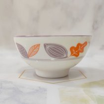 新款陶瓷碗4.5英寸家用米饭碗6个10装创意网红可爱餐具可入微波炉(4.5直口丰收6个装 默认版本)