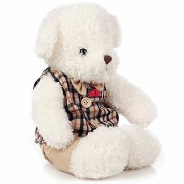 毛绒玩具樱桃情侣熊公仔毛毛熊35cm单只男款