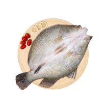 简烹 免洗直烹6条组合（黑虎斑/白蕉海鲈鱼/红鲳斑/彩虹鲷/金杉鱼/金虹斑*2条)  鲜鱼加工 精心调味