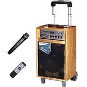 双诺（sangnou）声美SN-06 8寸低音 1寸高音户外锂电 拉杆音箱无线麦克风移动音响 便携式大功率扩音器