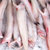 东海龙头鱼新鲜海鲜水产九肚鱼鲜活冷冻豆腐鱼水潺宝宝辅食鱼3斤第2张高清大图