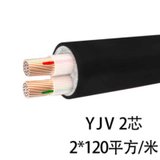 率龙电线电缆SL25国标电缆电线YJV2*120（单位：米）(默认)