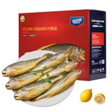 海名威国产冷冻黄花鱼(大黄鱼)2.1kg 6条装  生鲜 海产礼盒  海鲜水产