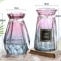 【两件套】北欧玻璃小花瓶透明彩色水培植物干花欧式客厅插花摆件(18钻石F 2+18贴纸F 2 中等)