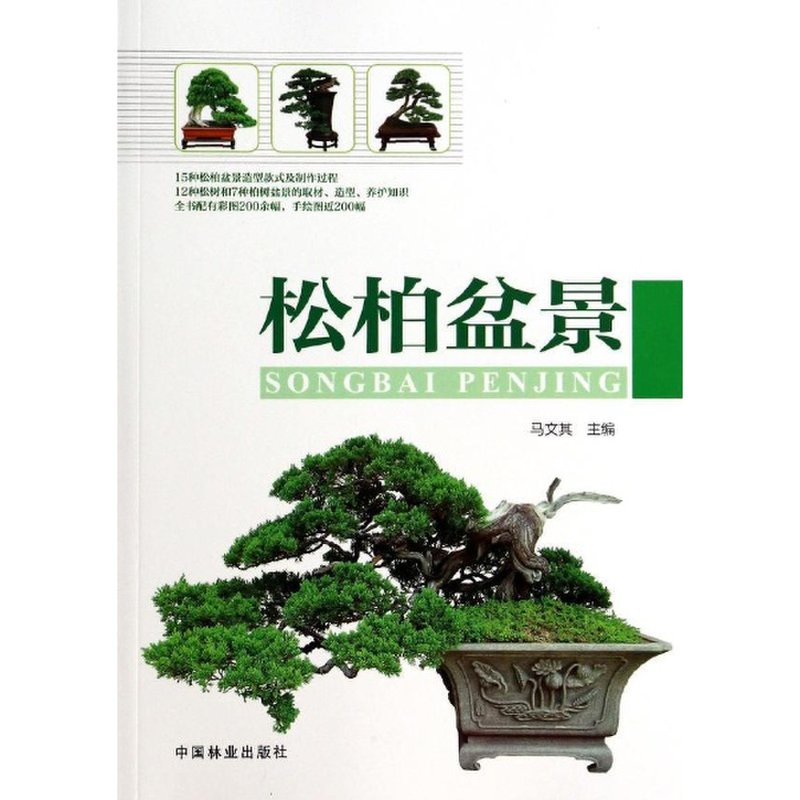 《松柏盆景(11)》图片()【简介|评价|摘要|在线阅读】-国美新华文轩