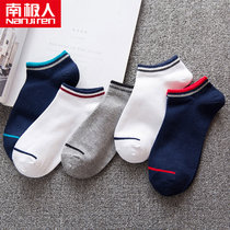 南极人5双装袜子男夏季船袜男袜运动短袜(彩边款 均码)