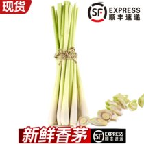 【顺丰】新鲜香茅草柠檬草香茅 泰国冬阴功汤料调料香料奶茶店用品(1000g)
