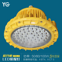 远光 防爆灯GT3BL-01(II CT 5)