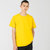 TP新款t恤男短袖纯棉宽松纯色男士圆领大码半袖体恤衫 TP8046(姜黄色 XL)