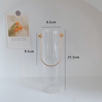 轻奢透明花瓶 ins客厅北欧玻璃小摆件现代简约网红手提水养插花瓶(大号 【可台式可壁挂】)