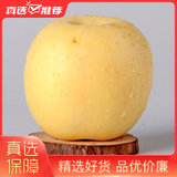 烟台黄金奶油富士苹果新鲜当季牛奶白色冰糖心5斤12个装水果整箱苹果(奶油红富士)