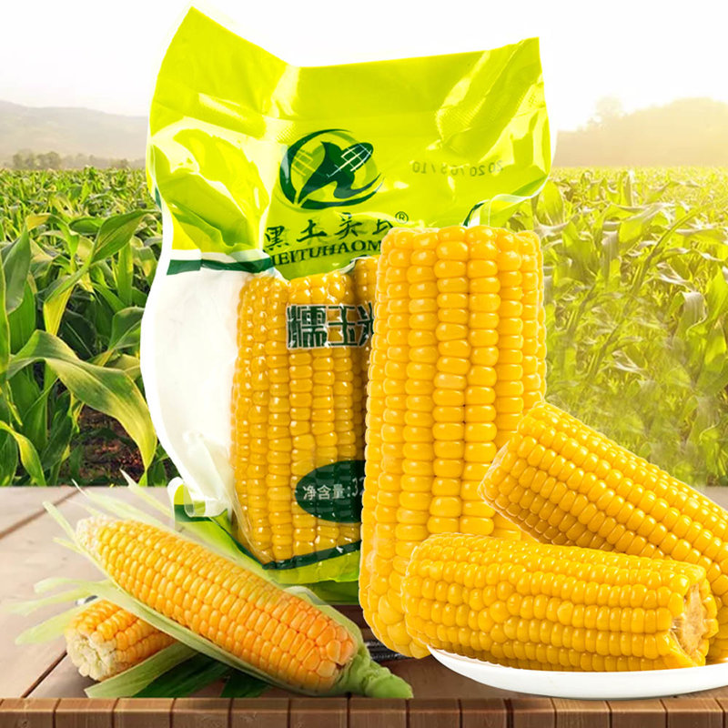 黑土昊民黄糯玉米双棒320g3两支装香甜玉米