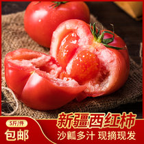 【骆驼家优选】新疆沙瓤西红柿5斤装约12个顺丰包邮产地直发番茄