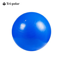 加厚健身房按摩球运动瑜珈球平衡球 55CM1513(蓝色 55cm)