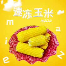 2020年黑龙江新鲜玉米甜糯速冻玉米棒东北黏糯玉米10个装