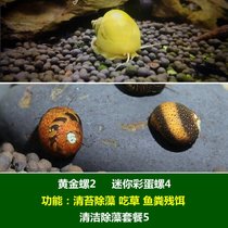 马来螺苹果螺观赏螺活体除藻螺鱼缸清洁吃鱼屎工具水族淡水螺套餐(黑色 默认版本)