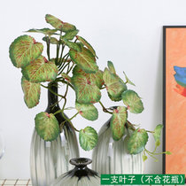 仿真绿植客厅背景墙挂墙壁挂植物装饰垂吊假花摆件室内吊兰吊篮白(红飞翠舞一支)