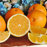 湖北秭归脐橙伦晚脐橙新鲜水果甜橙子5斤包邮(5斤 脐橙-5斤)
