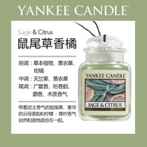 墨西哥 扬基(Yankee Candle)汽车香水 车载香水 车内饰品车载香薰挂件固体香膏 至尊车卡 真快乐厨空间(透明 鼠尾草香橘)