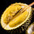 京觅马来西亚猫山王榴莲D197(带壳)单果1.3-1.6kg 冷冻水果