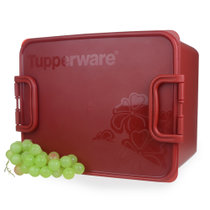 特百惠保鲜盒15.5l腌泡箱长方形大容量水果酵素箱子塑料密封盒子