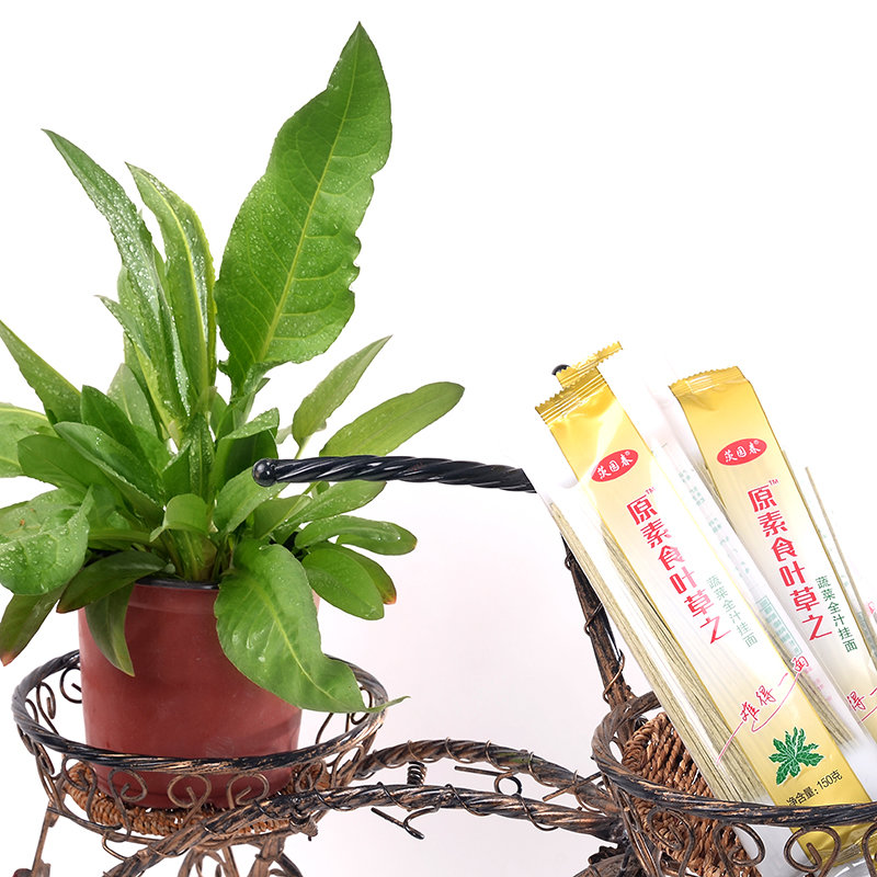 西北原素食叶草之蔬菜全汁挂面简装一箱60袋150g袋返回商品页