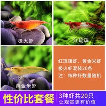 黑壳虾草缸除藻活体工具虾观赏虾宠物虾饲料虾活体水族箱清洁虾(性价比套餐共20只（3种虾） 默认版本)