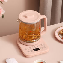 小浣熊养生壶办公室mini小型家用炖壶多功能一人用花茶煮茶器(蒸笼燕窝款)