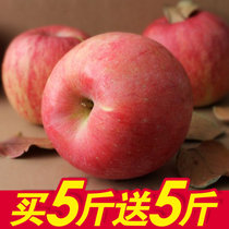 好果天天山东烟台苹果红富士 新鲜时令水果现摘现发 买5斤送5斤